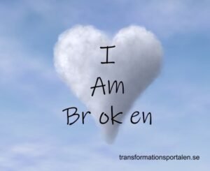 Transformation-Protalen_04